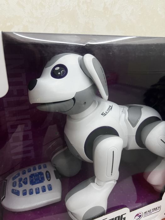 Robot kuchukcha. Pultli zaryadka oladi gapiradi yuradi oynaydi, r