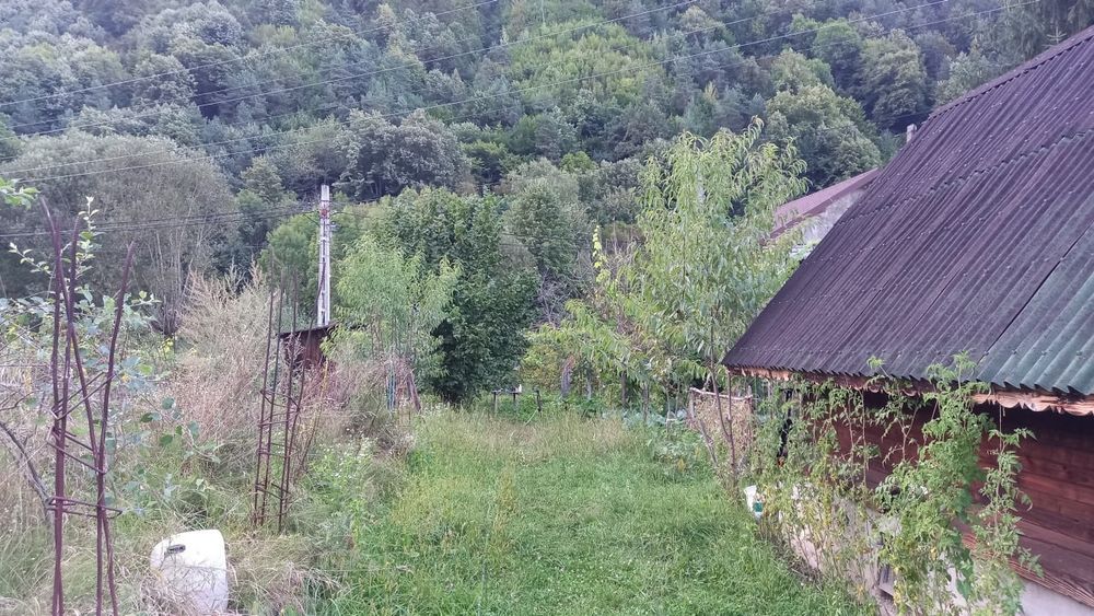Teren cu cabanuta  Păscoaia Brezoi Valcea