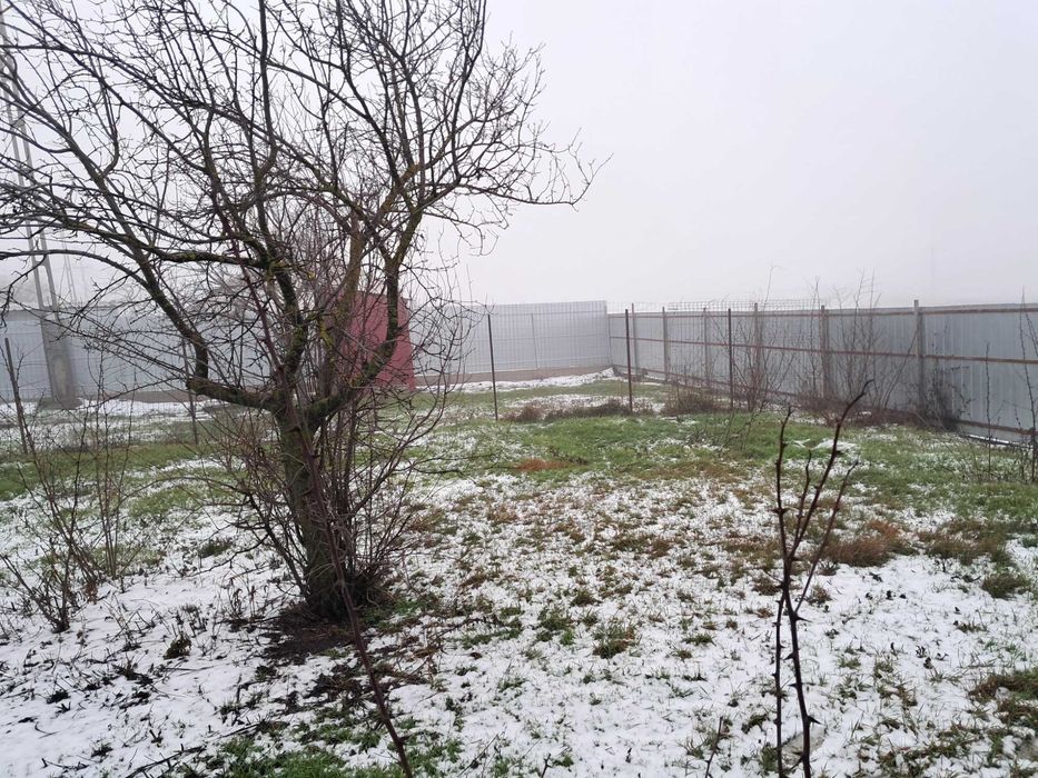 Casa batraneasca Adjudu-Vechi