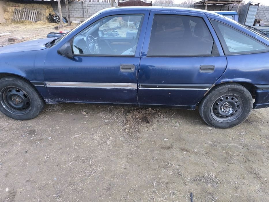 Орел вектра 2 куп