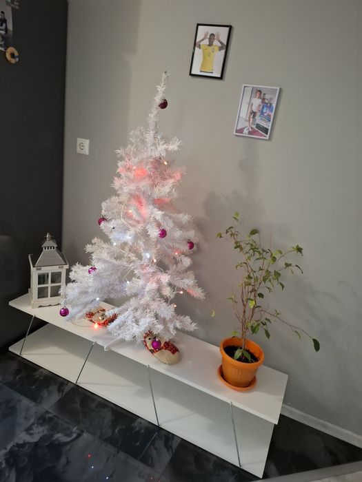 Дава се под наем Тристаен апартамент в Благоевград, Идеален център - 74 кв.м за 382.5 € - Снимка #1