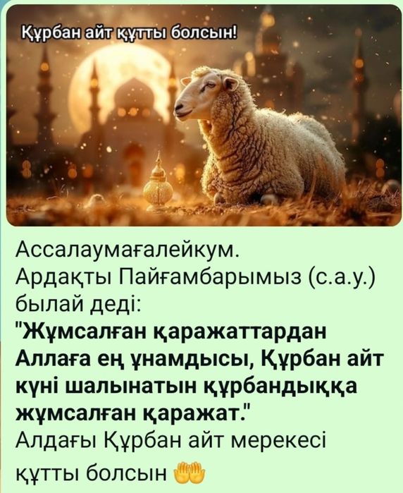 Құрбандық қой, құрбан шалу