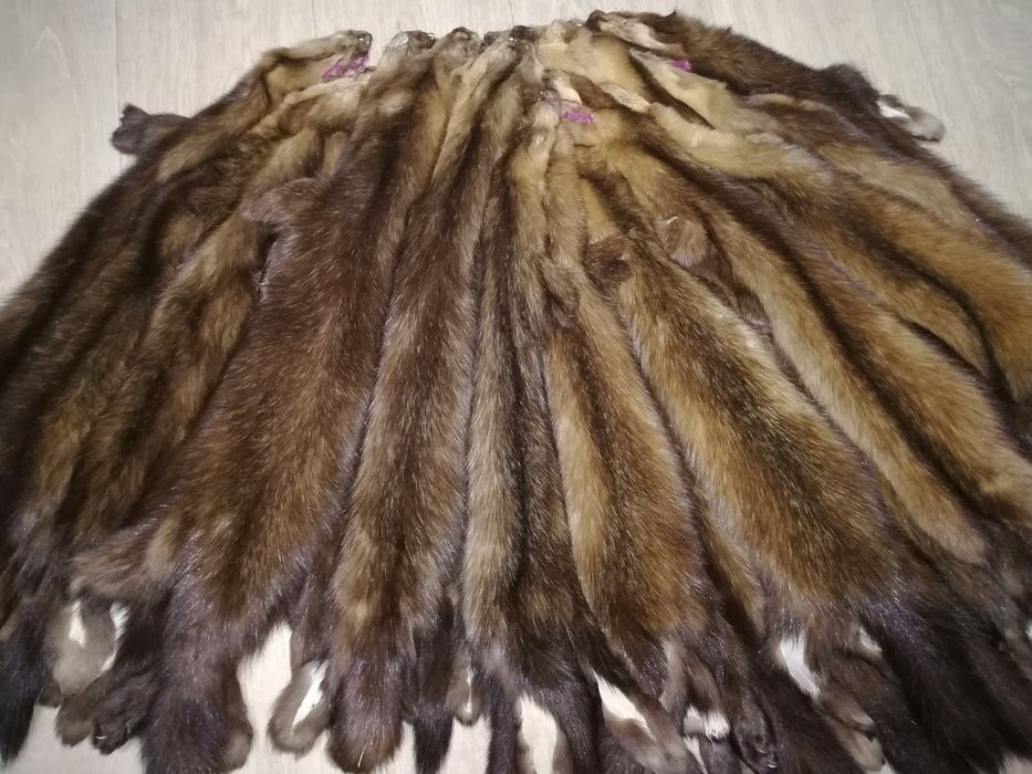 продам шкурки соболя