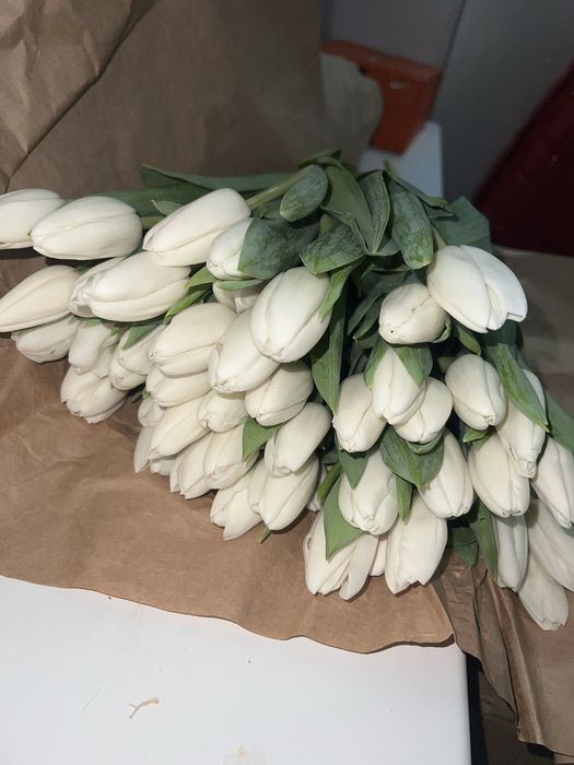 Тюльпаны  Семей