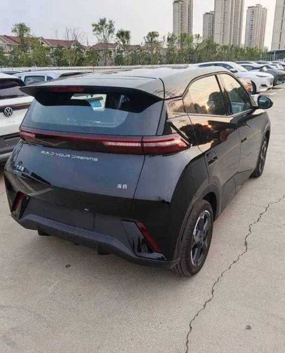 byd segul seagull maslo bez probeg