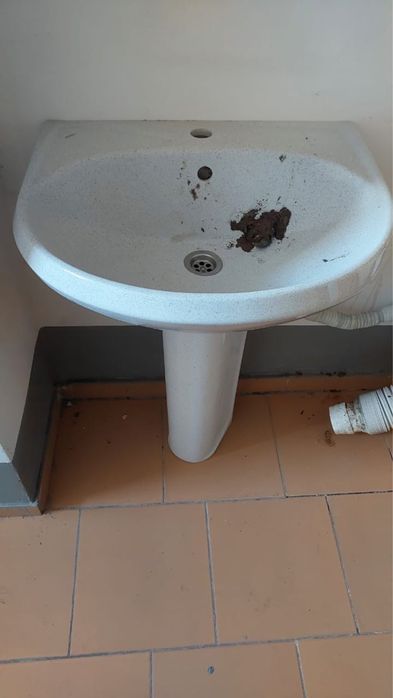 Продам б/у ванну 170*75, унитаз, раковина-тюльпан.