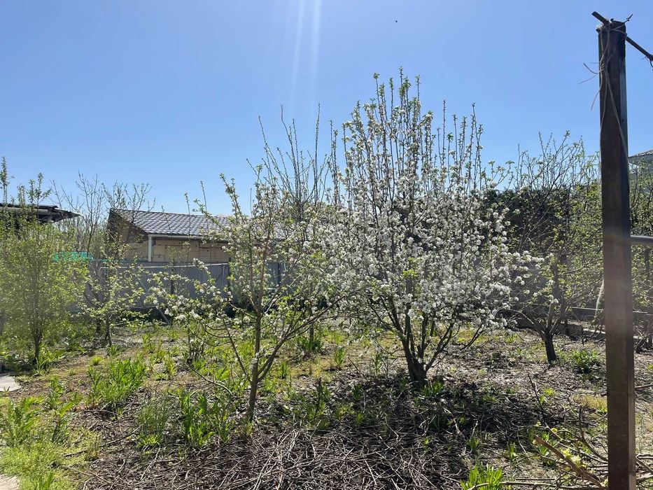 Коттедж в поселке Жаңа қуат