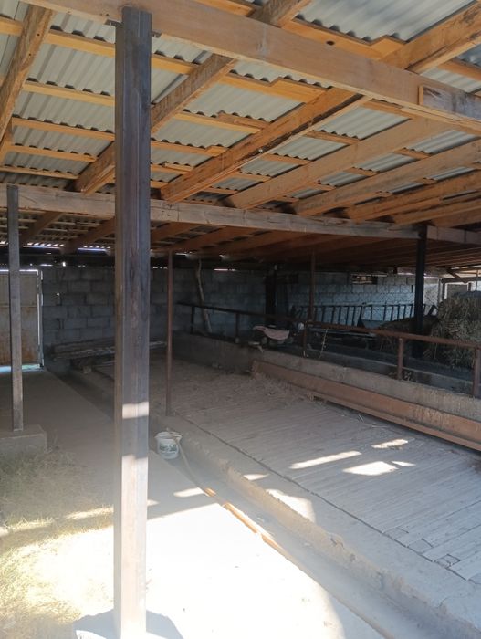 Ореке арты гор газ