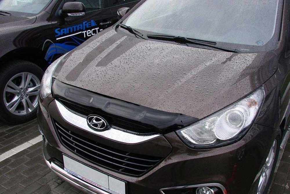 Ветровеки Мухобойки