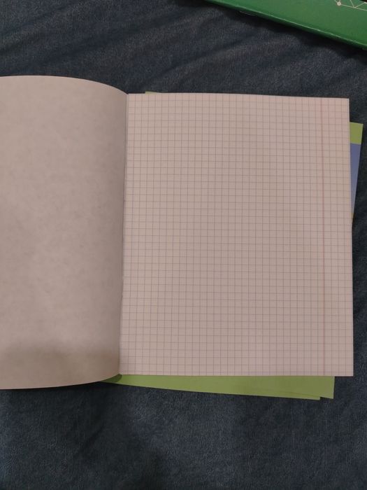 Тетради 12-листовые в клетку.