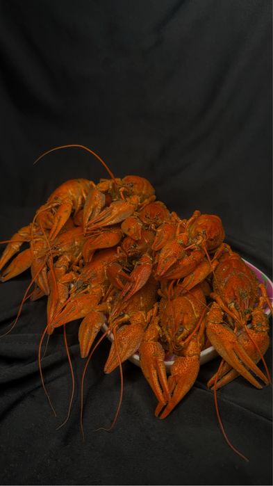 Живые свежие  раки!