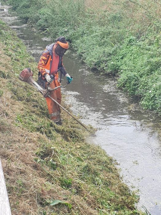 Defrisari terenuri Cosit iarbs, parcuri, păduri