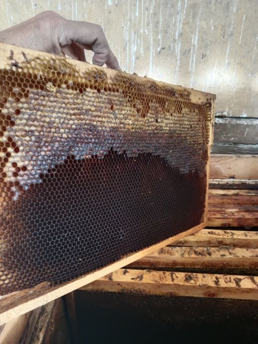 Рамки вошиной для пчел