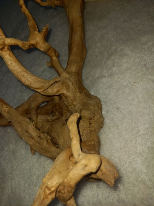 Каряга корень дерево для аквариума/koryaga daraxt ildizi akvarum uchun