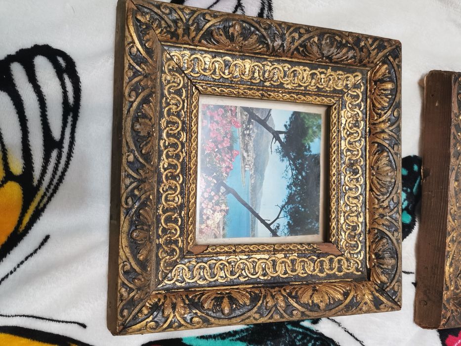 Rame vechi protejate cu geam