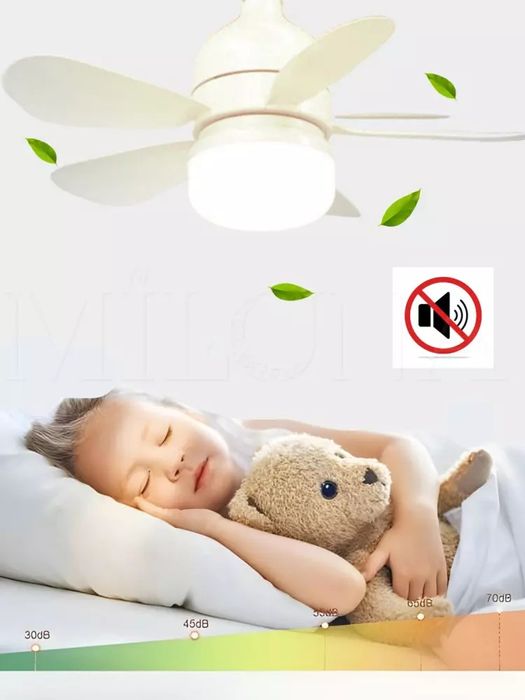 Ventilyatorli lyustra