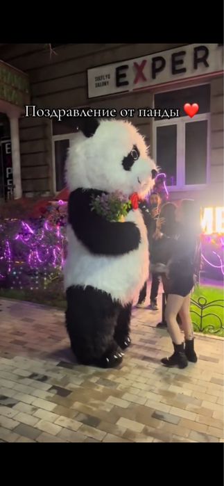 Аниматоры умка и панда