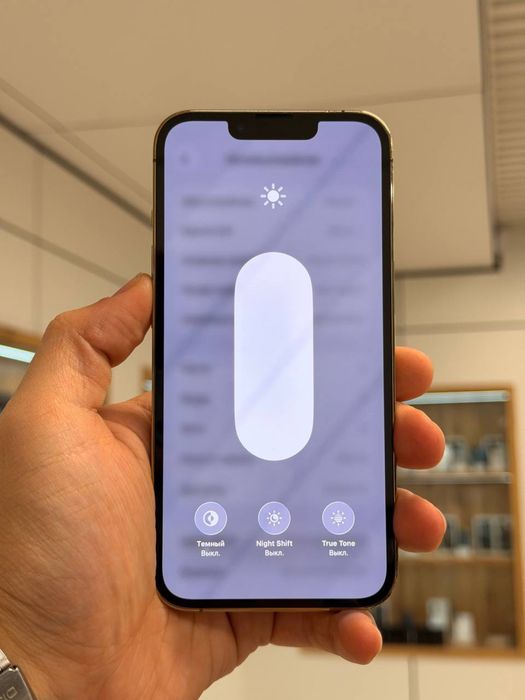iPhone 13 Pro | 256 GB