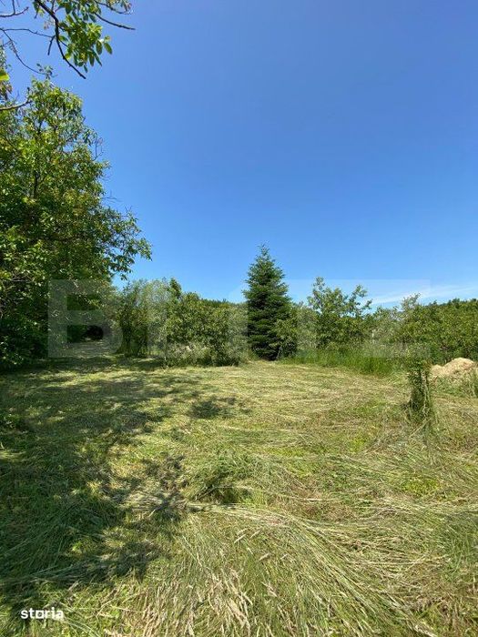 Teren intravilan de vanzare – 30 ari – Zona Podul Jelnei – prive