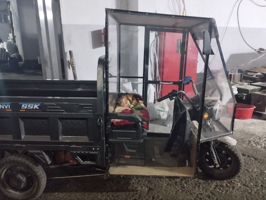 Eletro muravey 500 kg li