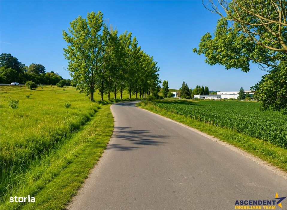 22.500mp oportunitate investitie, teren cu vizibilitate la DN1 E68, Co