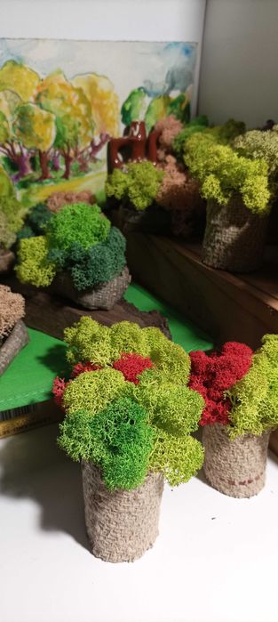 Скандинавски мъх,декорации