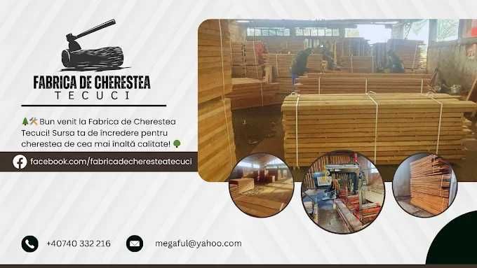 Python Software Development, Magazin online Constanta, Landing Page