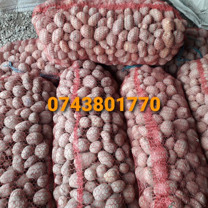 Vand cartofi pentru animale