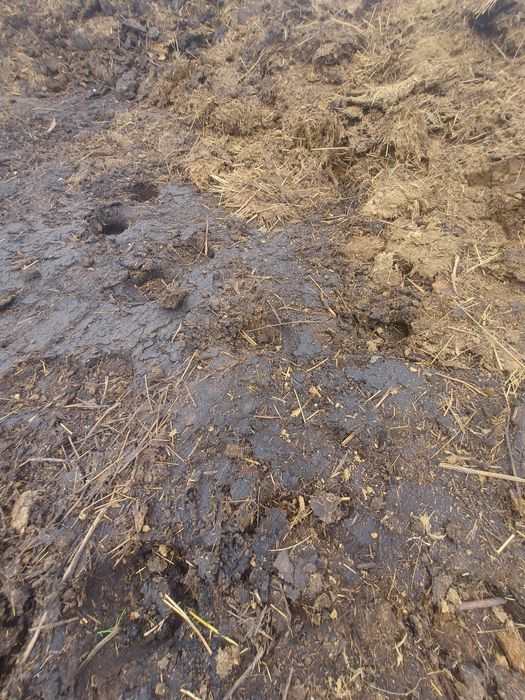 Продам навоз для удобрения