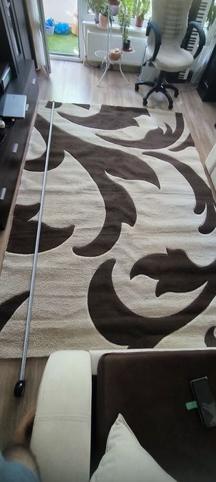 Килим 290 х 195 двуцветен