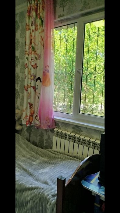 2/2/4 Феруза, кафе Балик, Корзинка