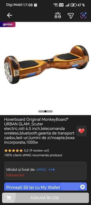 Hoverboard Monkey