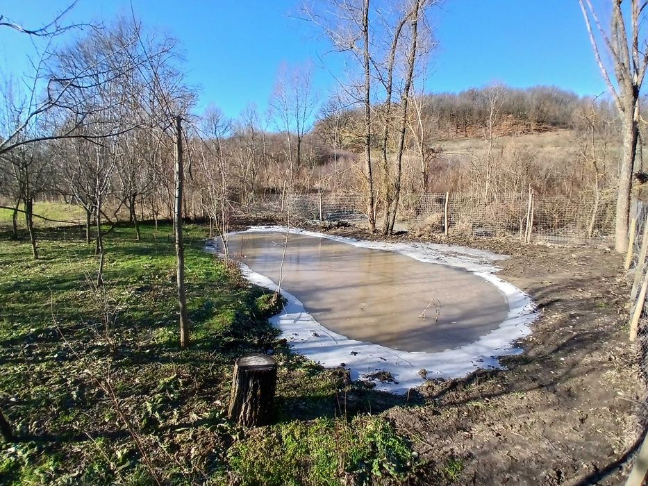 Teren Intravilan Casa 1600