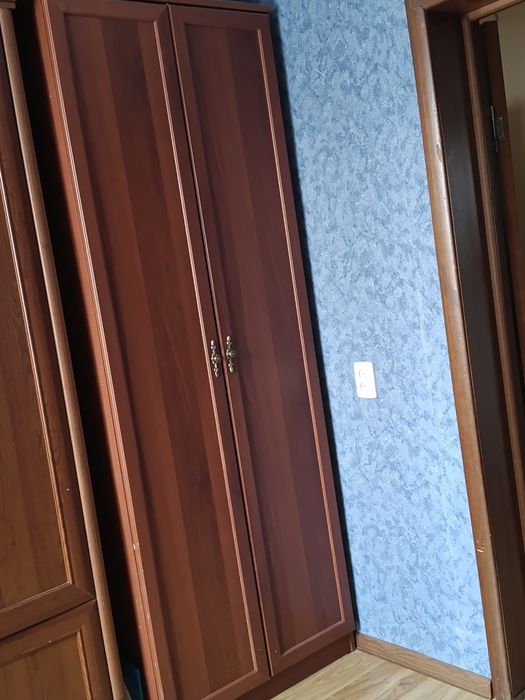 Шкаф плательный 2х дверный