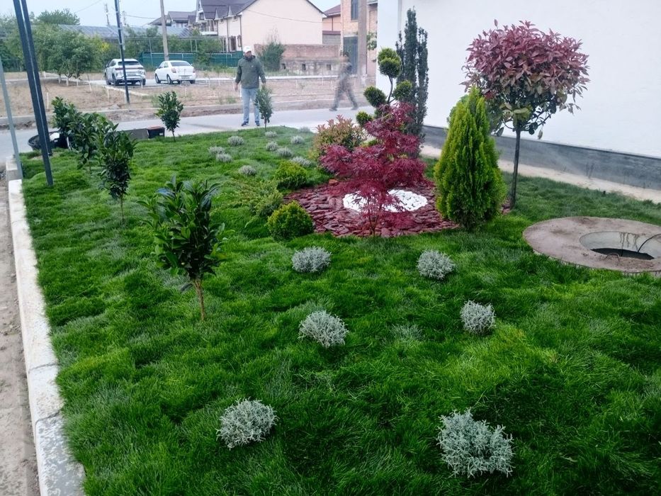 Газон eкиш ланшафт gazon ekish gul xizmati