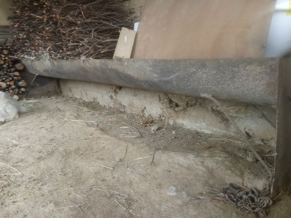 Малға ахыр ммммм