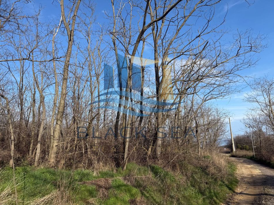 Продава се Парцел в Варна, м-т Боровец - юг - 5301 кв.м за 25 €/кв.м - Снимка #1