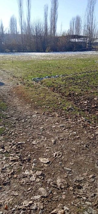 uy joy sotiladi yer xisobida 29 sutik