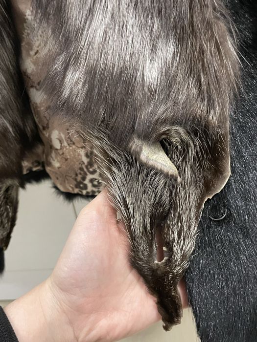 Haina de blana naturala cu guler din vulpe polara argintie