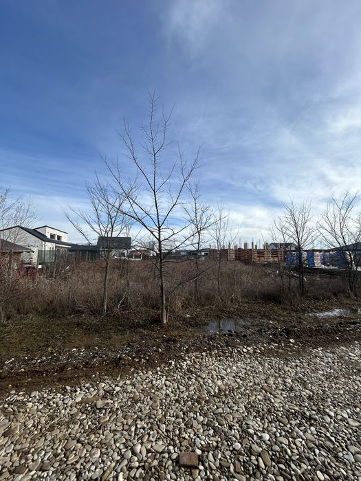 Teren Balotesti 475 mp