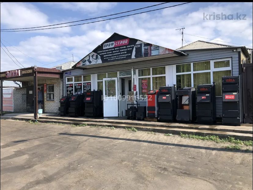 Продам дом с бизнесом