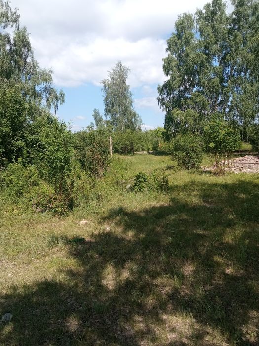 Дачный земельный участок.