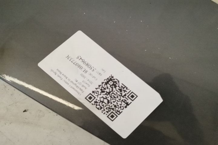 Орнамент централен праг спойлер предна броня Оригинален В добро състоя