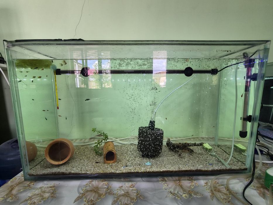 Аквариум 2 дона 200 л ва 1 дона 130 л сотилади