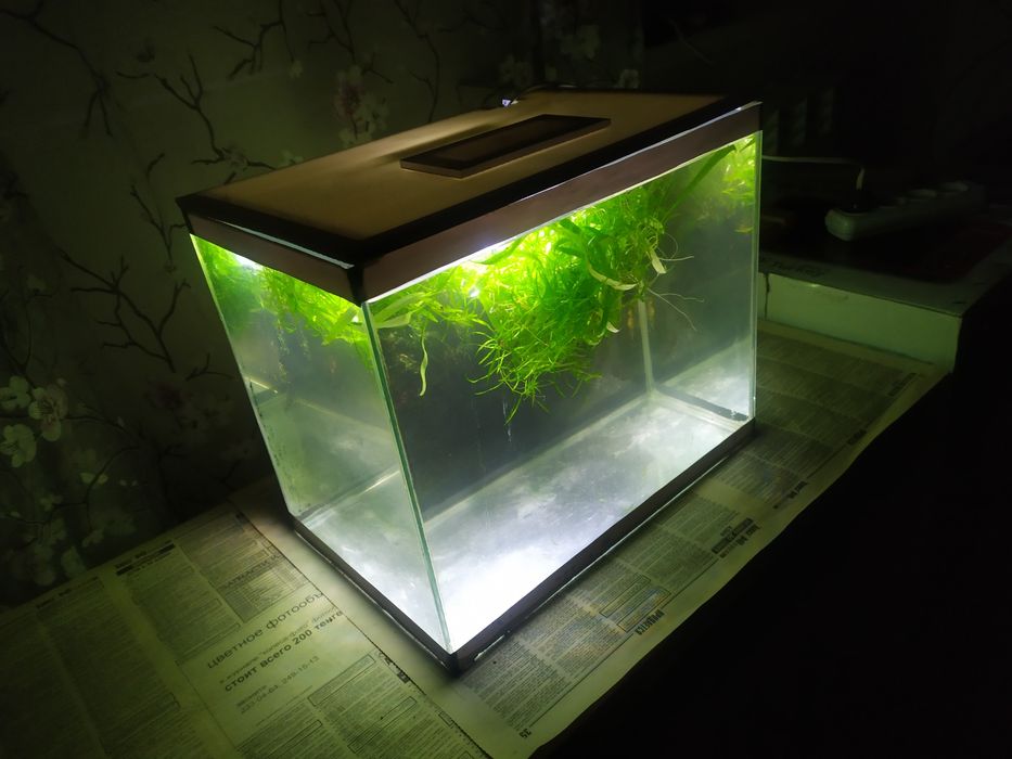 Аквариум 27л + бонусы и рыбки.