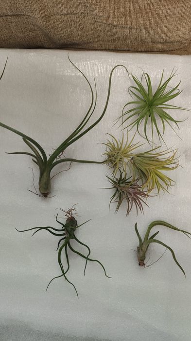 Приглашаю в группу