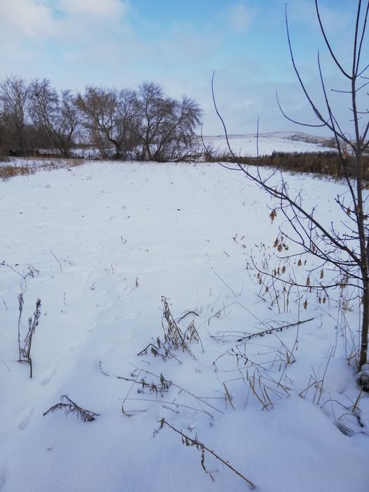 Продаётся Дом в посёлке Трудовое (70км от Караганды)