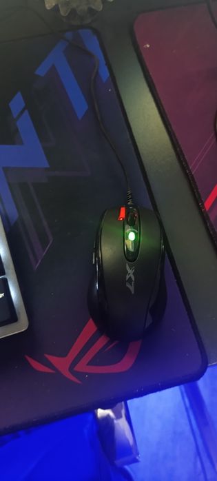 Game kapuyurtr xona