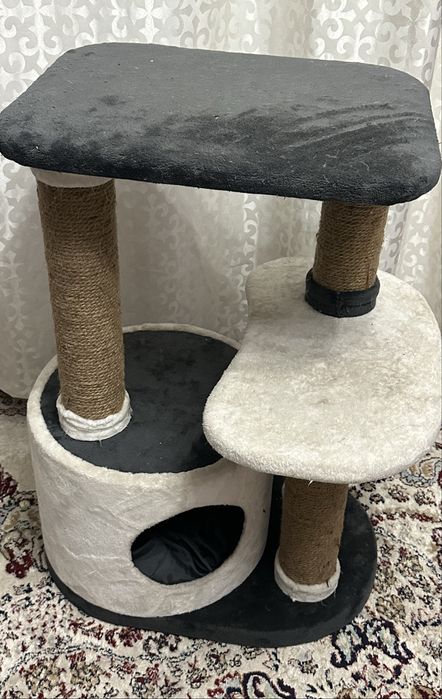 Кошка кошечка отдаю