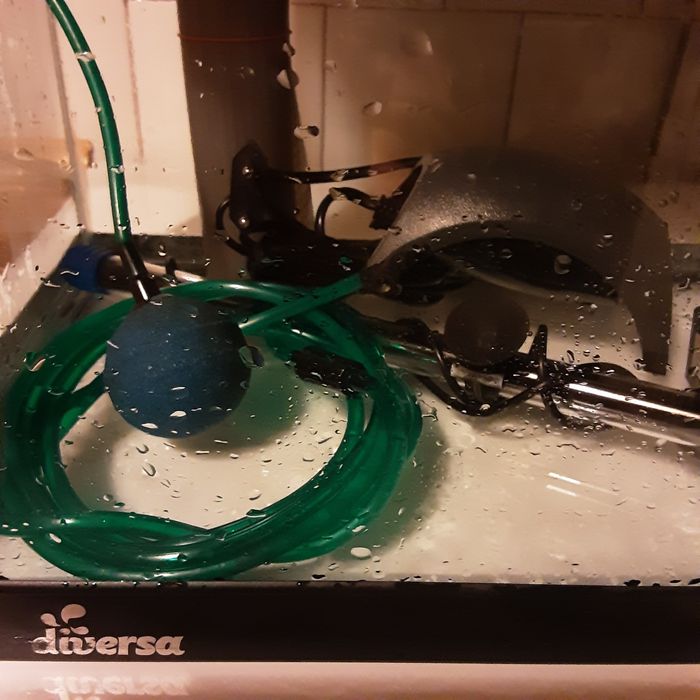 Acvariu Diversa complet dotat